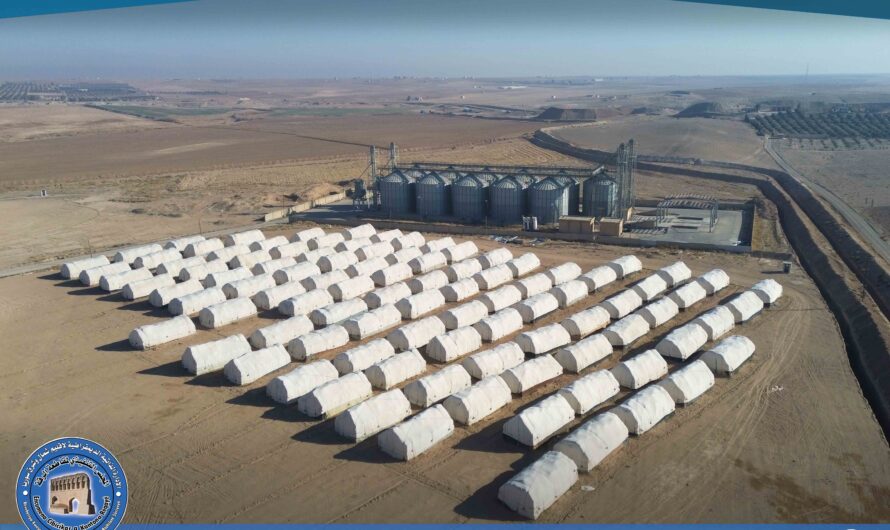 صور جوية تظهر كميات وفيرة من مخزون القمح في ريف الرقة والمخصصة للمطاحن والأفران