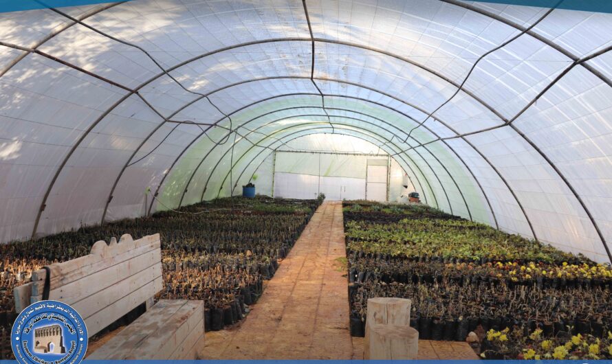 جانب من أعمال المشتل البلدي خلال الفترة الحالية