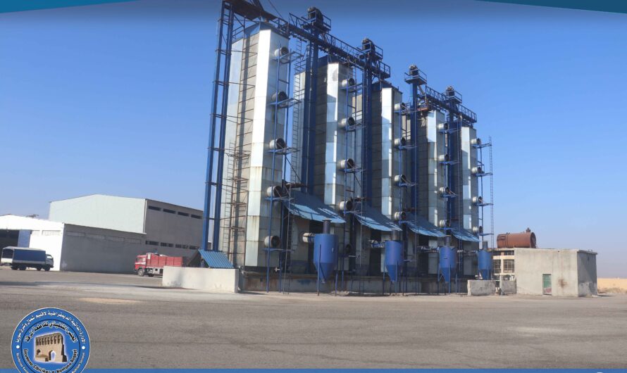 استلام كميات من محصول الذرة الصفراء من الفلاحين الموردين