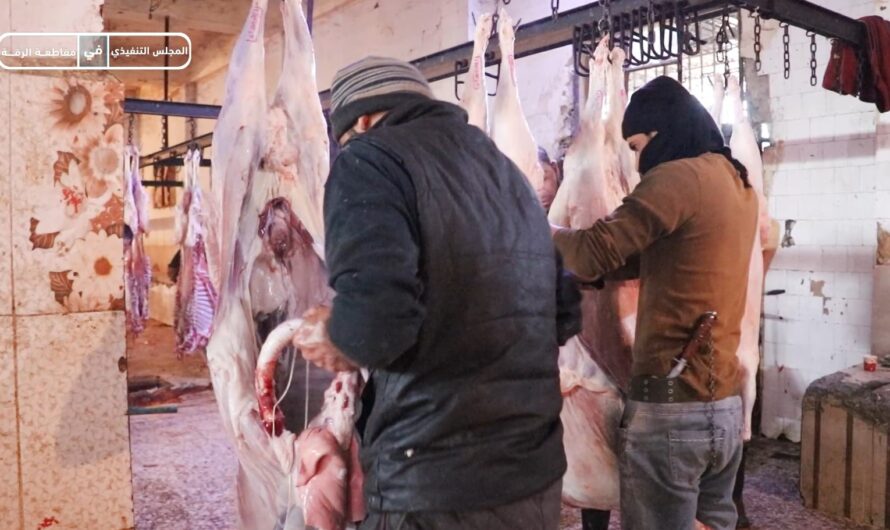 المسلخ البلدي في الرقة يضمن سلامة الذبائح قبل توريدها للأسواق