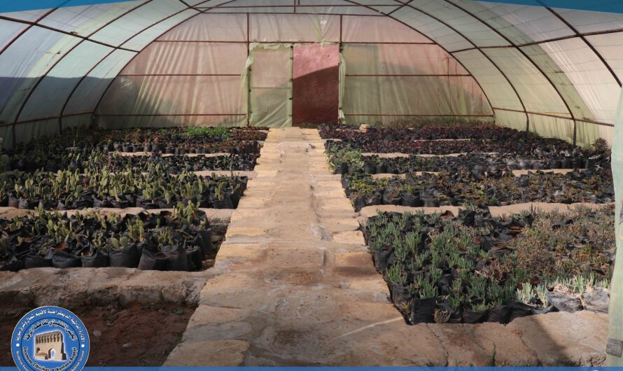 المشتل البلدي في الرقة يكثّف جهوده لاستقبال موسم الربيع بحملة تشجير واسعة