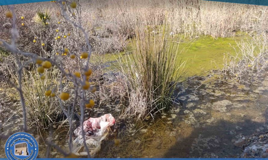 جولة بيئية لمراقبة سرير نهر الفرات في الرقة