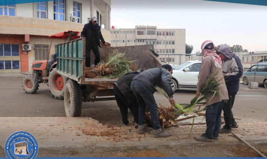 ورشات دائرة التشجير والحدائق تواصل حملات التشجير في المدينة