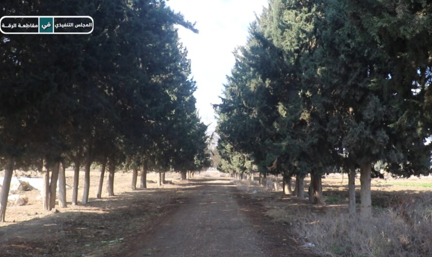 لجنة الأراضي العامة تواصل جهودها في تحقيق الاكتفاء الذاتي وتعزيز فرص العمل