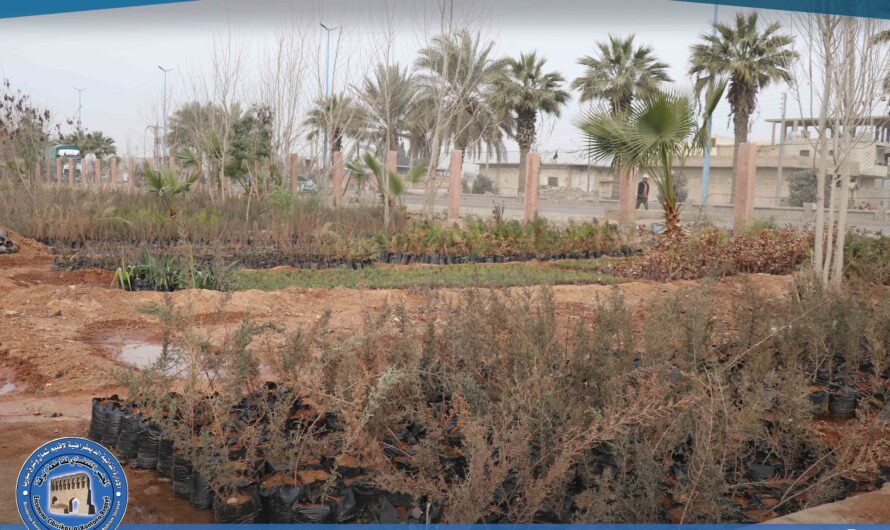 انطلاق زراعة العروة الربيعية في البيوت البلاستيكية في المشتل البلدي