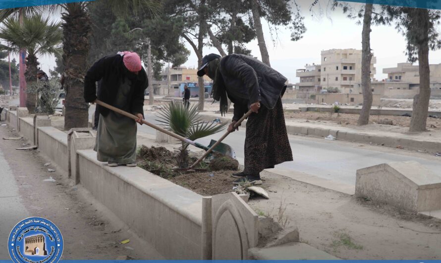 دائرة الحدائق والتشجير تواصل جهودها في تعزيز المساحات الخضراء في المدينة