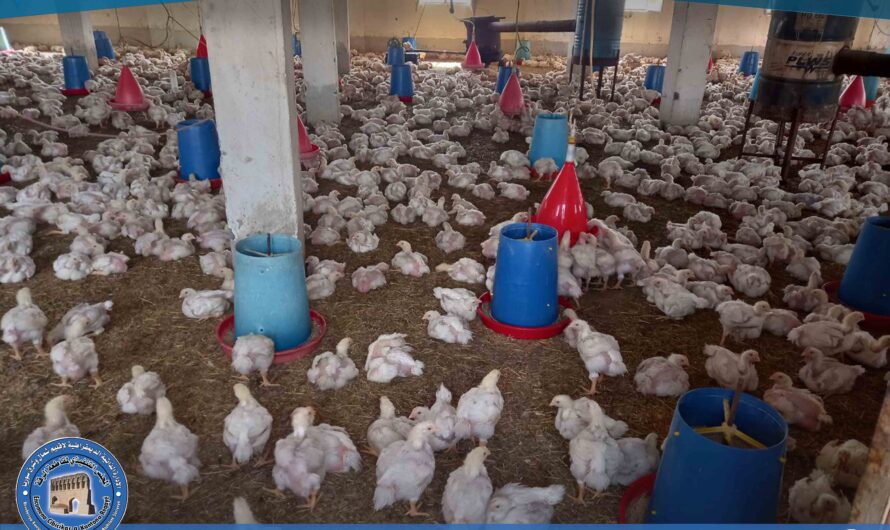 تنفيذ جولة رقابية على الأفران والمسامك والمداجن