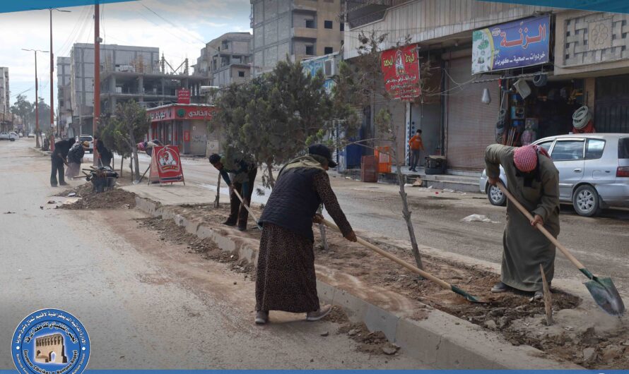 دائرة الحدائق والتشجير تواصل أعمال الصيانة والتجميل في شارع الحديقة البيضاء