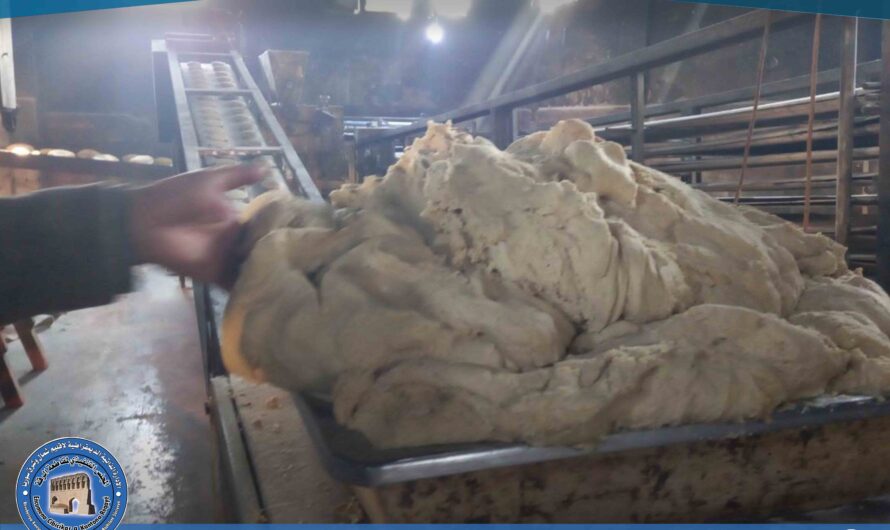 حماية المستهلك تجري جولة رقابية على الأفران التابعة لبلدية الشعب بالمزارع