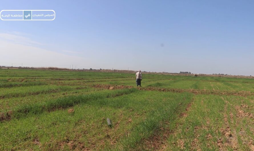 مكتب الحراج يواصل أعمال المكافحة الحشرية والفطرية لحقوله الزراعية