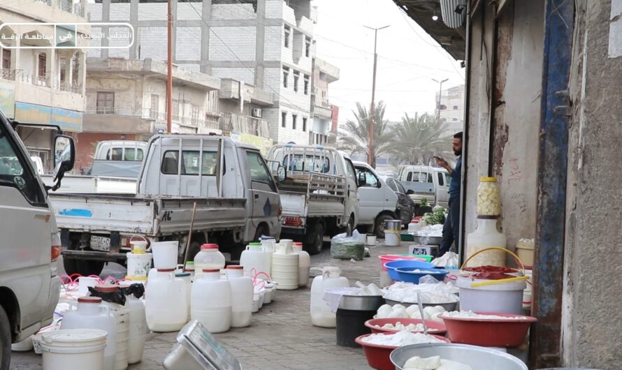 كاميرا مكتب الإعلام ترصد أسعار الألبان والأجبان في سوق المزارع بالرقة