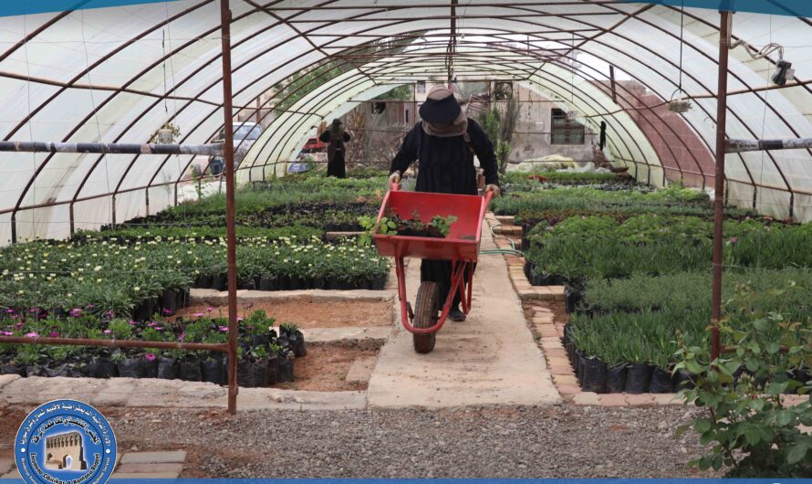 دائرة التشجير والحدائق في بلدية الرقة تواصل جهودها لتعزيز المساحات الخضراء