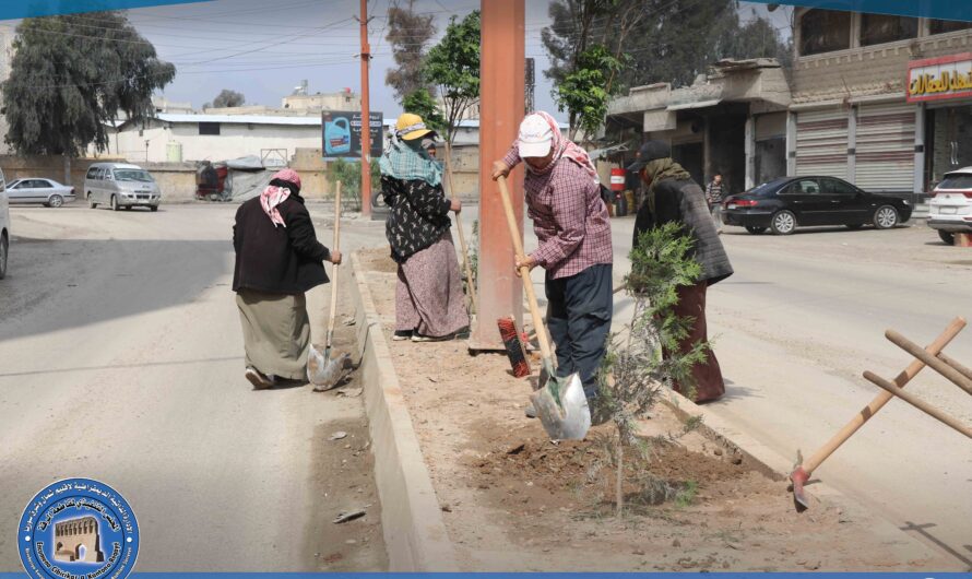 بلدية الشعب تبدأ بزراعة الأشجار والورود في شارع الكهرباء بالرقة
