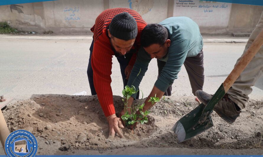 حملة لتشجير الشوارع وتعزيز المساحات الخضراء