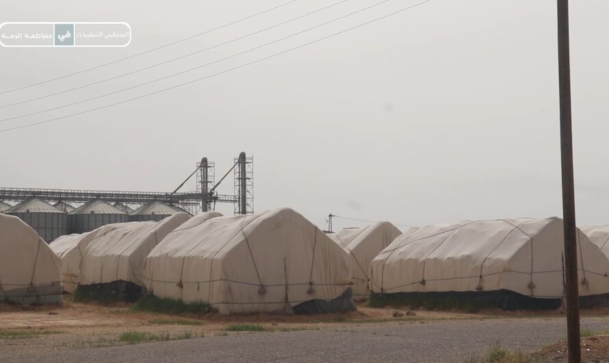 صوامع شنينة تواصل دعم مطاحن الرقة استعداداً للموسم القادم