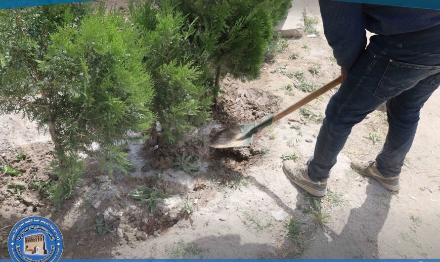 دائرة الحدائق والتشجير تجري بعض الأعمال الخدمية في حديقة الاستقلال