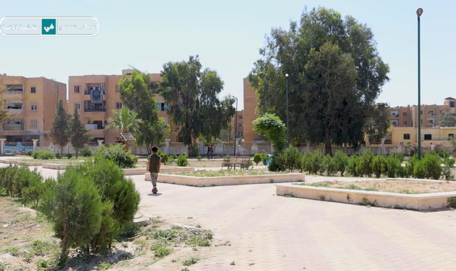 تسليط الضوء على أعمال دائرة الحدائق والتشجير في الرقة