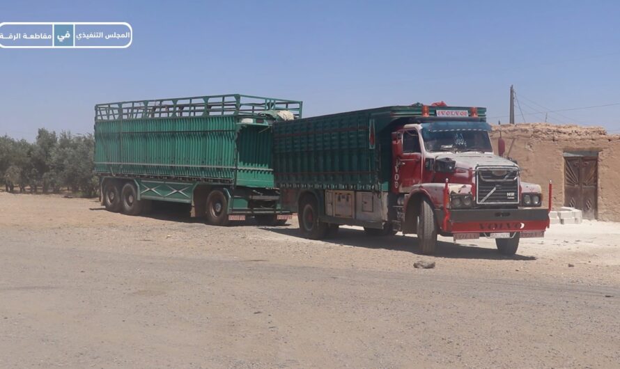 صوامع السلحبية تستقبل أكثر من 9 آلاف طن من القمح في الرقة