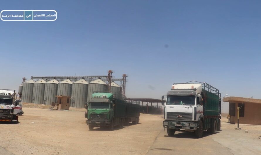 صوامع الرافقة استقبلت 10 آلاف طن من القمح منذ بدء الموسم