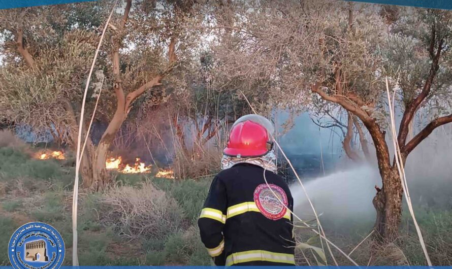 إخماد حريق في نشب بستان زيتون بريف الرقة الشمالي