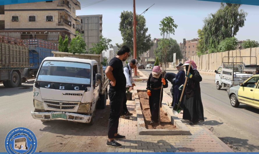 بلدية الشعب في الرقة: خطة تشجير جديدة بعد ترميم وتأهيل منصف دوار التموين
