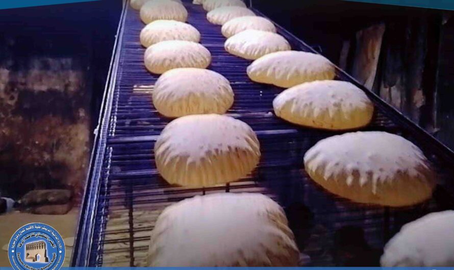 جولات رقابية في بلديتي الرشيد والكرامة لحماية المستهلك