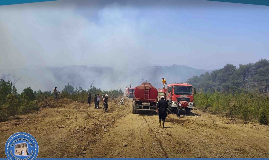 لليوم الثاني على التوالي، تواصل فرق إطفاء شمال وشرق سوريا ومن ضمنها فريق إطفاء الرقة بكامل طاقمه، جهودها الحثيثة في إخماد الحرائق المندلعة في مناطق الساحل السوري، في مشهد يعكس روح التضامن والمسؤولية الوطنية.