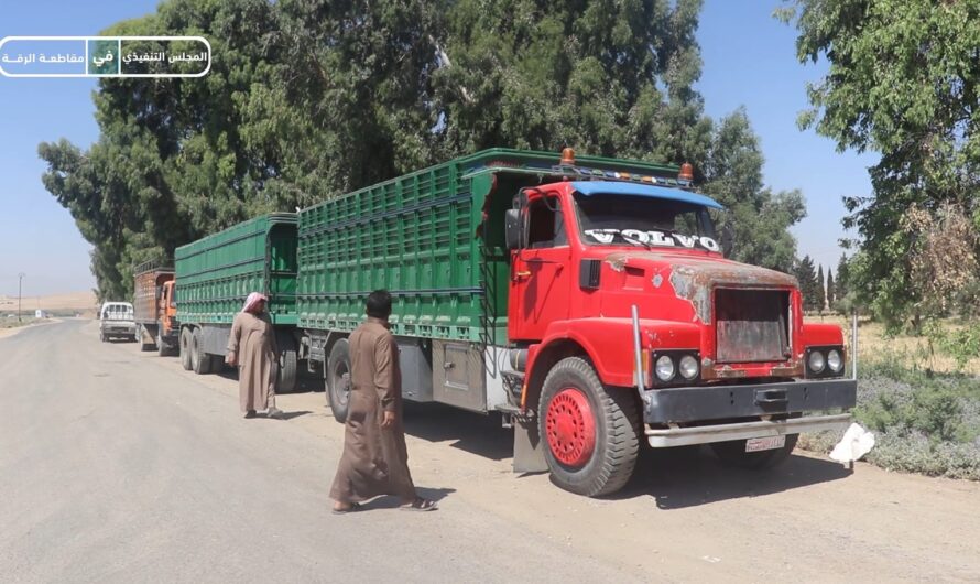 صوامع شنينة تبدأ باستلام محصول القمح لموسم 2025 وسط إقبال واسع من المزارعين