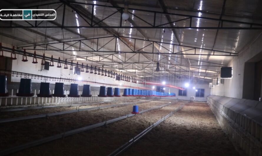 مشروع فقاسات لإنتاج البيض المخصب … خطوة رائدة نحو دعم الاقتصاد المجتمعي