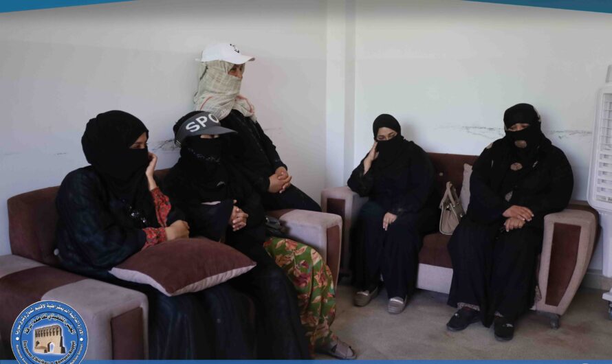 هيئة الشباب والرياضة تستعد لإطلاق دورات مهنية لتعزيز مهارات الفئة الشابة