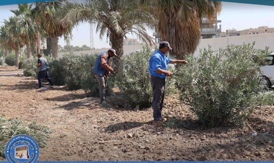 دائرة الحدائق والتشجير تواصل أعمالها في تحسين المشهد البيئي ضمن المدينة