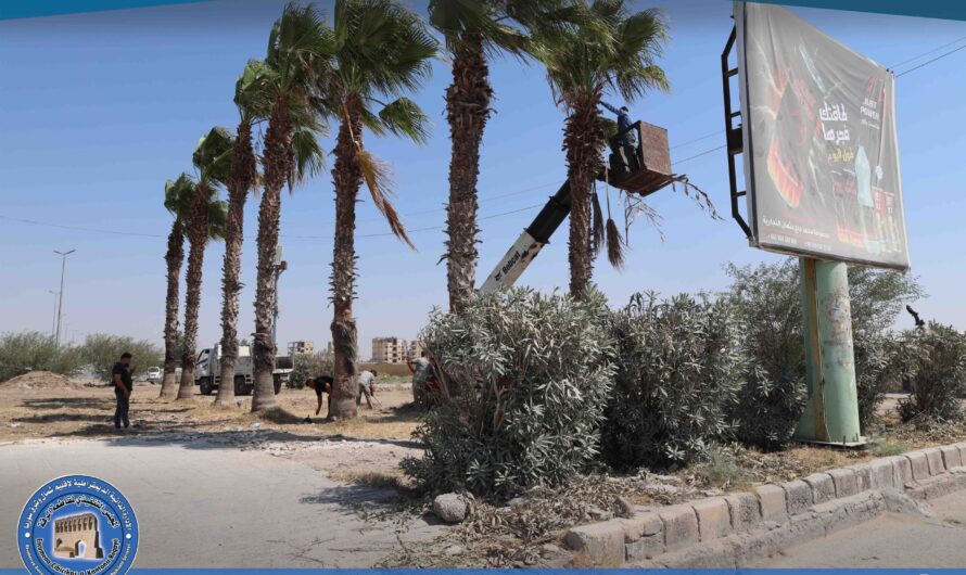 دائرة الحدائق تواصل أعمال تقليم أشجار النخيل لتحسين جمالية المدينة