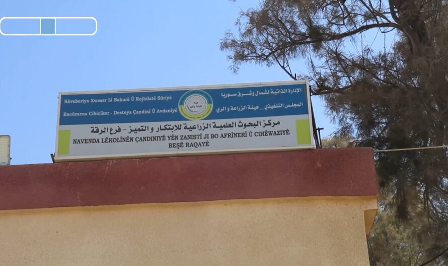 مكتب الوقاية يحذر من انتشار دودة اللوز الشوكية في حقول القطن ويدعو إلى التدخل العاجل