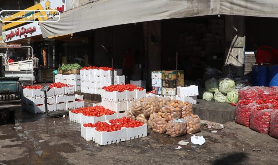 أهالي الرقة يشتكون من ارتفاع أسعار الخضار وصعوبة تأمين المونة