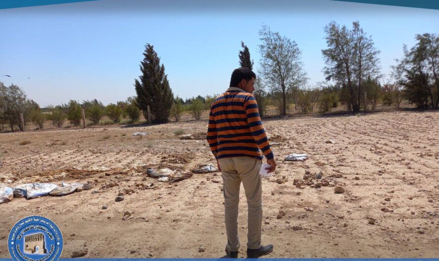 ضبط مخالفات بيئية في مدجنة بالسلحبية بعد شكاوى من السكان