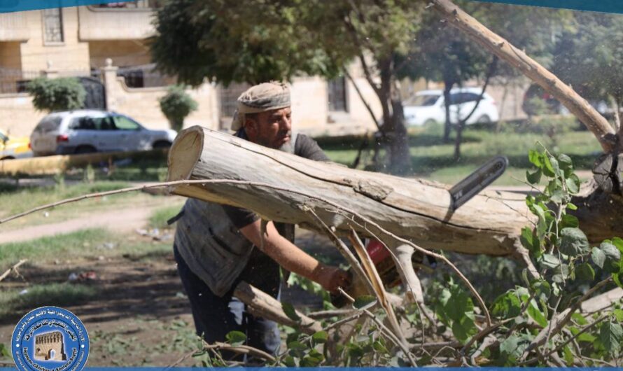 دائرة الحدائق والتشجير تبدأ بإزالة الأشجار اليابسة لتعزيز جمالية المدينة
