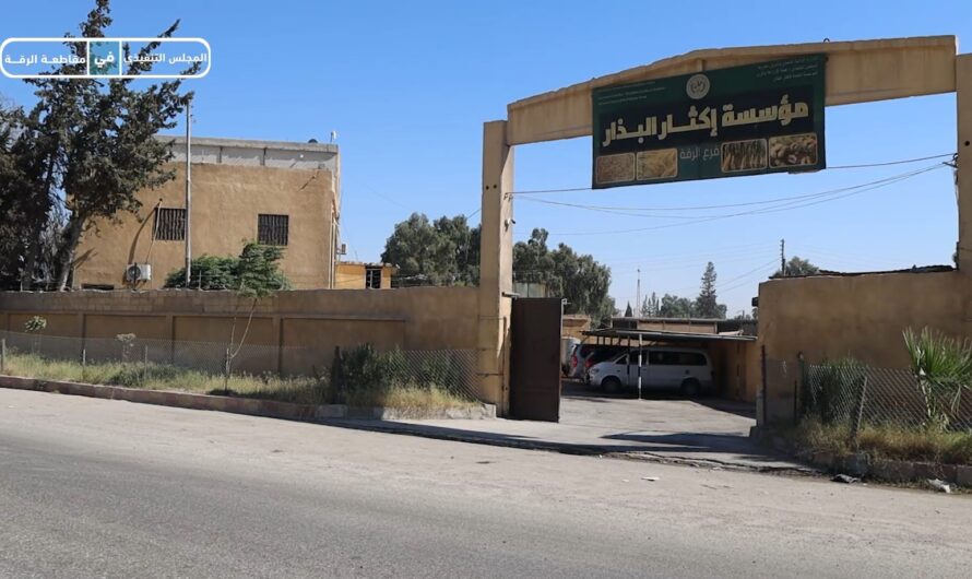 مؤسسة إكثار البذار تفتح باب التعاقد مع المزارعين للموسم الجديد