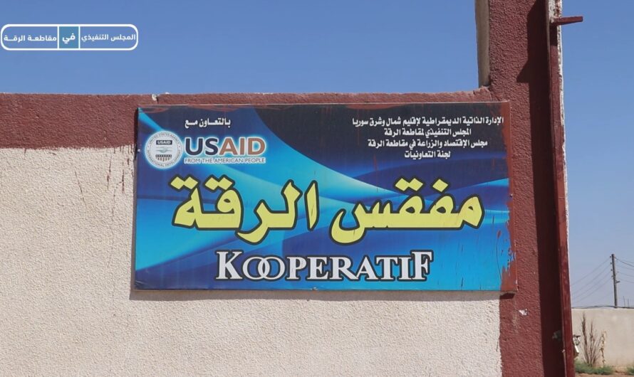 مشروع فقاسات لإنتاج البيض المُخصب في الرقة… خطوة رائدة نحو دعم الاقتصاد المجتمعي