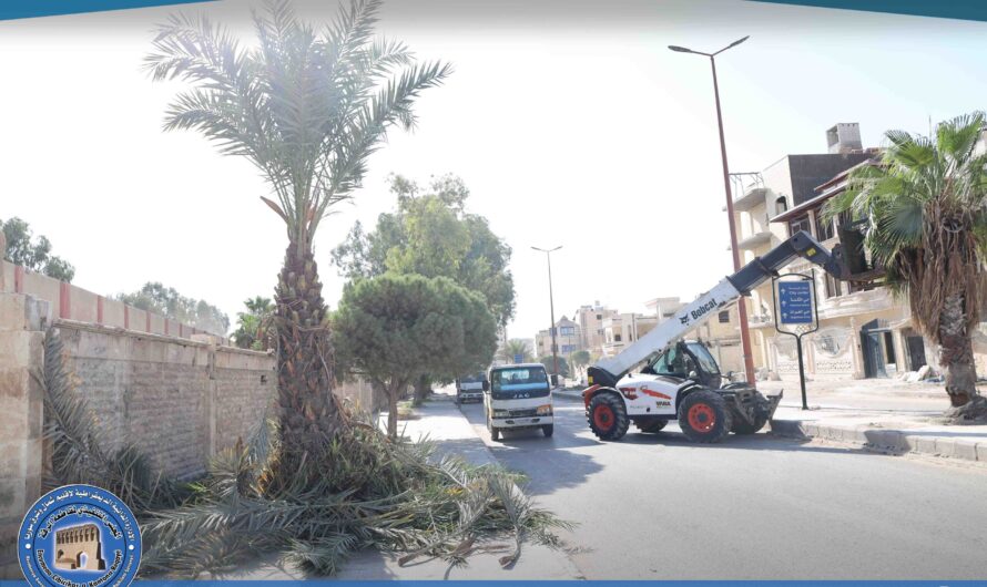 جانب من أعمال تقليم الأشجار ضمن حملات العناية بالغطاء النباتي