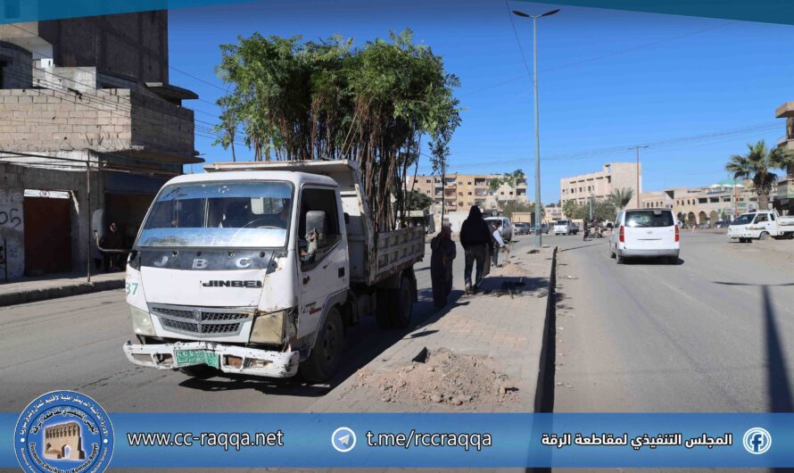 دائرة الحدائق والتشجير تبدأ بغرس الأشجار في منصف شارع الساقية