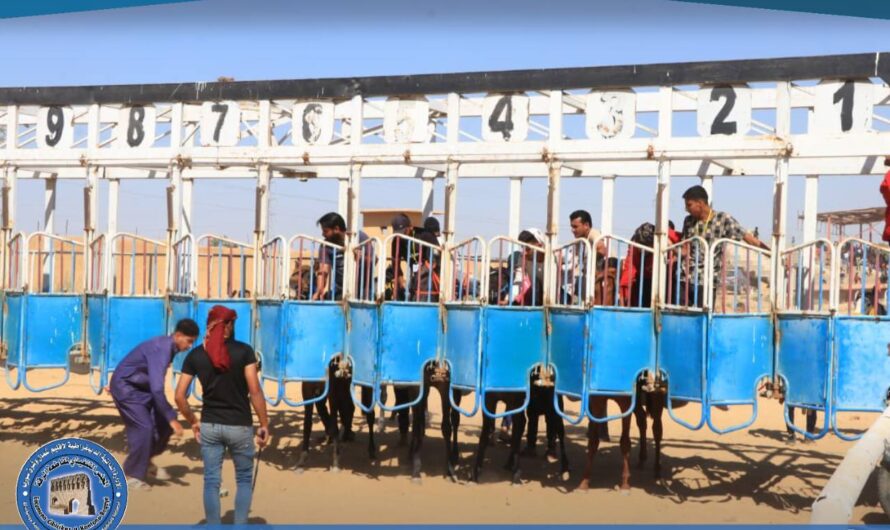 تنظيم بطولة الفروسية لسباق الخيول العربية الأصيلة بمشاركة واسعة من الخيول