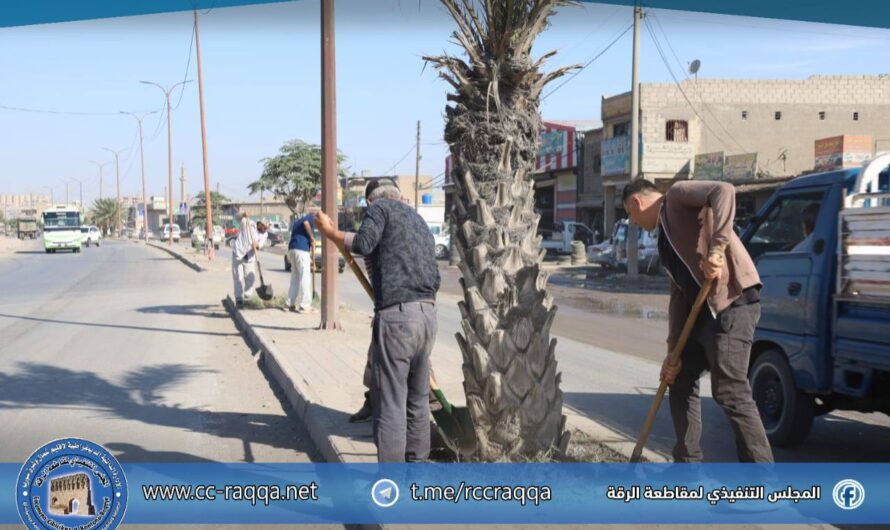 بلدية الشعب تواصل أعمال الصيانة في الشوارع الرئيسية