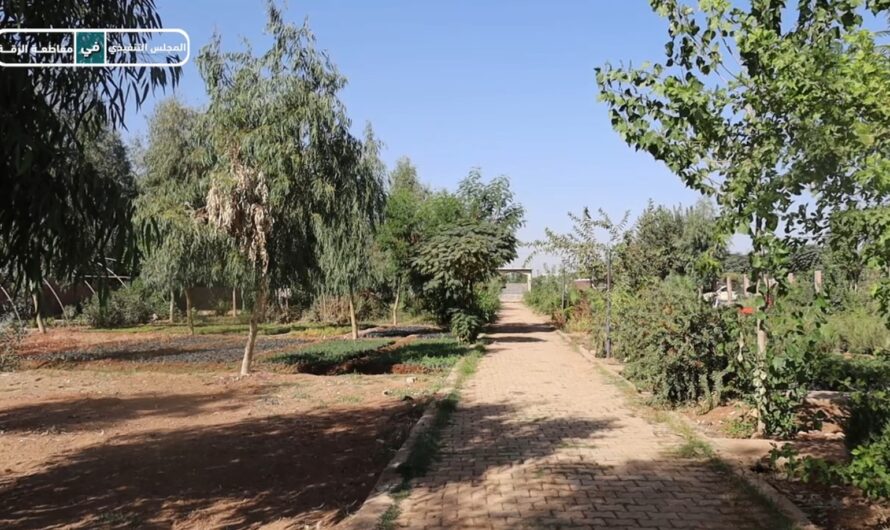 المشتل البلدي يبدأ تجهيزاته لاستقبال فصل الشتاء والعروة الخريفية