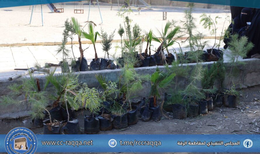 حملة مجتمعية لإعادة تأهيل “حديقة الأطفال” بمشاركة النساء العائدات من مخيم الهول