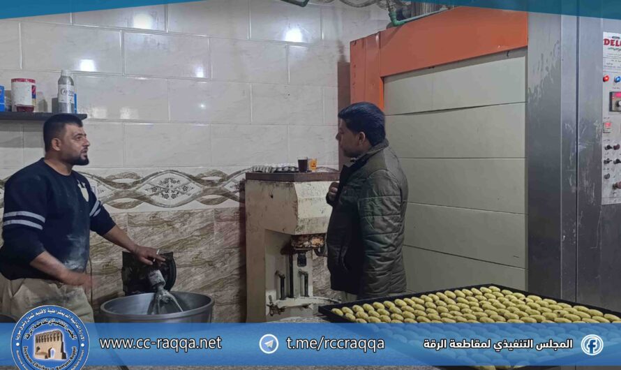 جولة رقابية على عدد من المنشآت للتأكد من الالتزام البيئي والسلامة المهنية