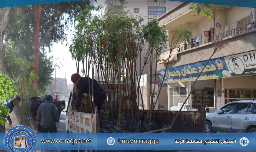 إطلاق حملة لتشجير منصف شارع المياه بـ 110 أشجار