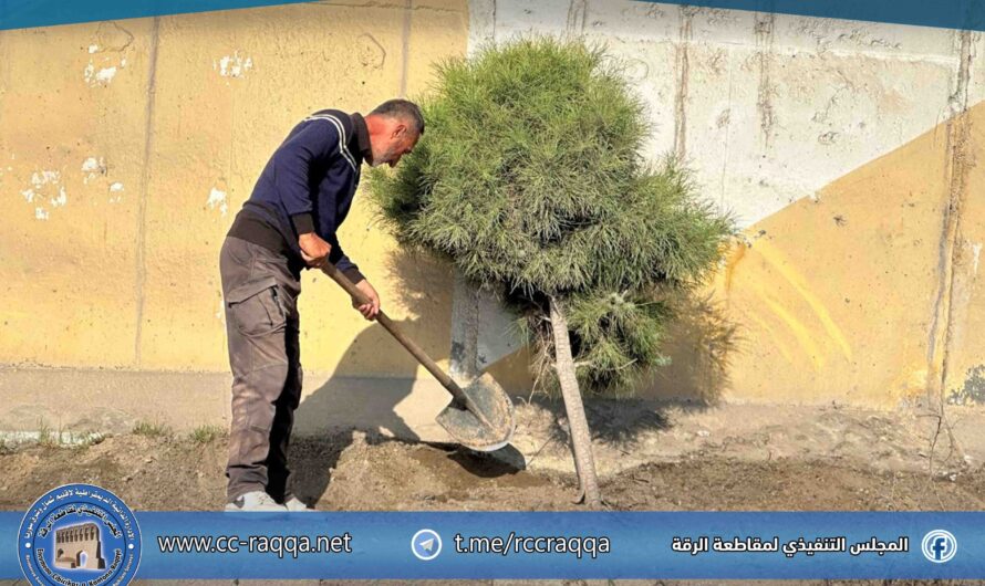 دائرة الحدائق والتشجير تُنفّذ أعمالها الخدمية ضمن الكورنيش الجنوبي