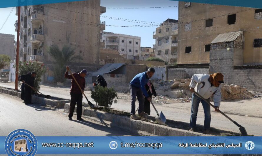 ورشات الحدائق والتشجير تواصل أعمالها الخدمية لتجميل منصفات شوارع المدينة