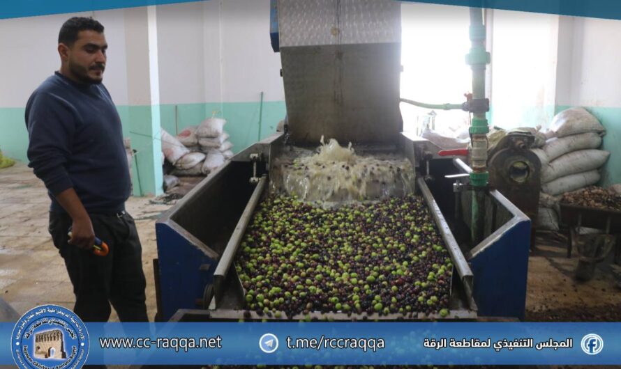 معصرة عفرين في قرية تشرين … نموذج للعمل التعاوني ودعم الاقتصاد المحلي