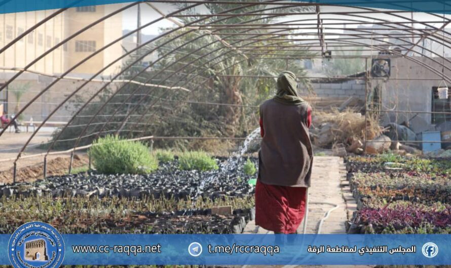 البلدية تواصل أعمال التشجير وجمع البذور ضمن خطتها لتوسيع المساحات الخضراء